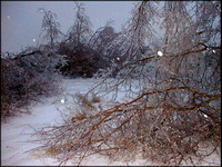 Ice Storm - 1998