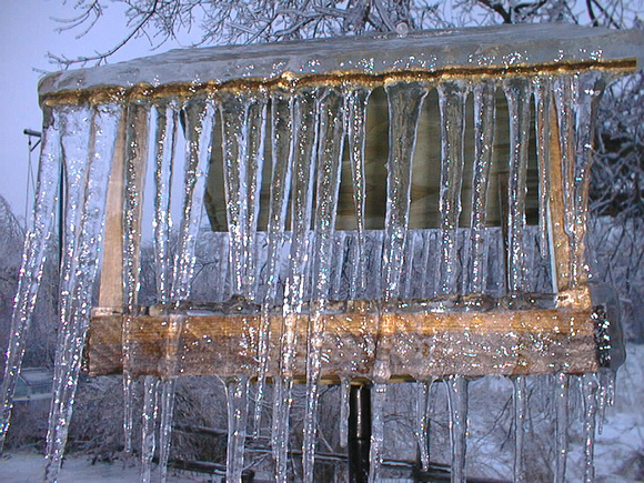 Ice Storm, Eastern Ontario