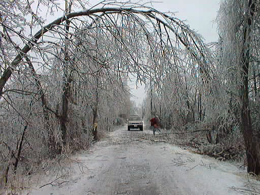 Ice Storm, Eastern Ontario