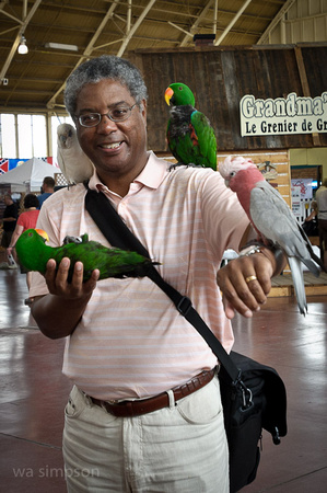 Friendly Parrots