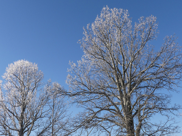 Freezing Rain