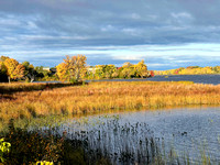 Fall Colours