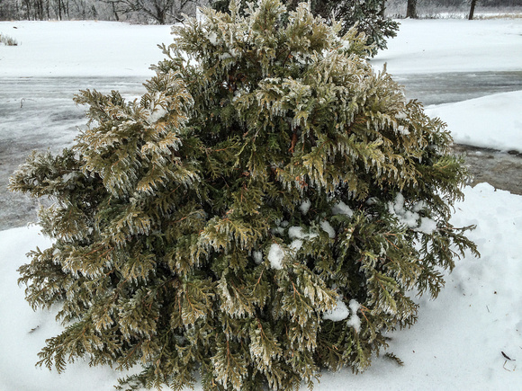 Freezing Rain