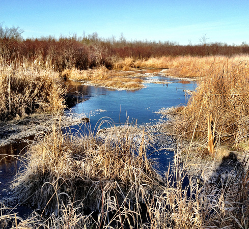A Frosty Pond