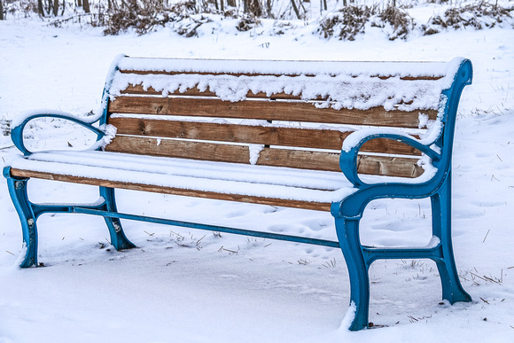 Bench in Snow